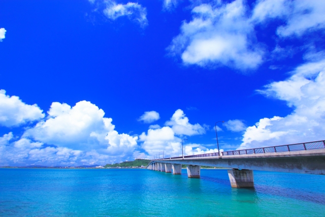 ☆2019年3月優待取得結果☆